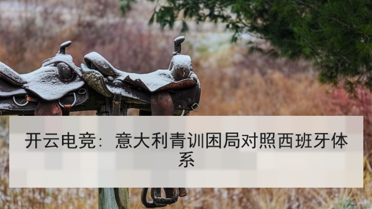 开云电竞: 意大利青训困局对照西班牙体系