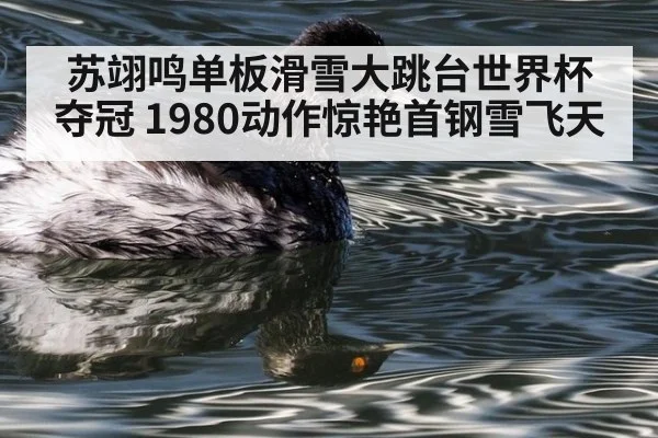 苏翊鸣单板滑雪大跳台世界杯夺冠 1980动作惊艳首钢雪飞天