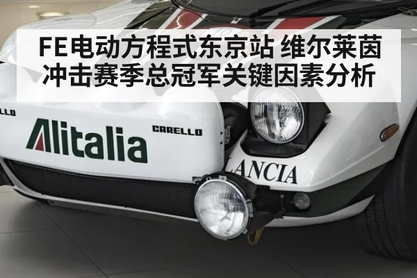 FE电动方程式东京站 维尔莱茵冲击赛季总冠军关键因素分析